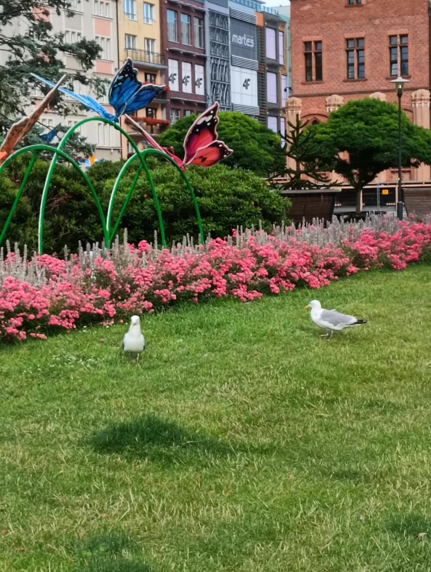 Apartament Ale Laba Kołobrzeg Extérieur photo
